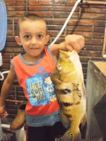 /album/galeria-de-fotos-pagina-inicial/imagem-053-2-jpg/